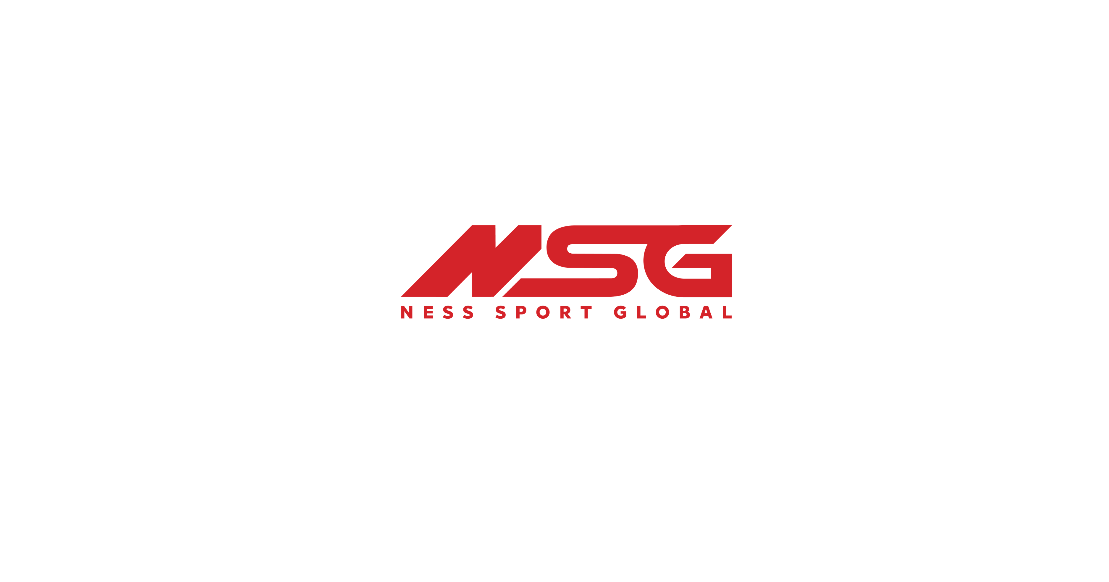 NSG Global logo
